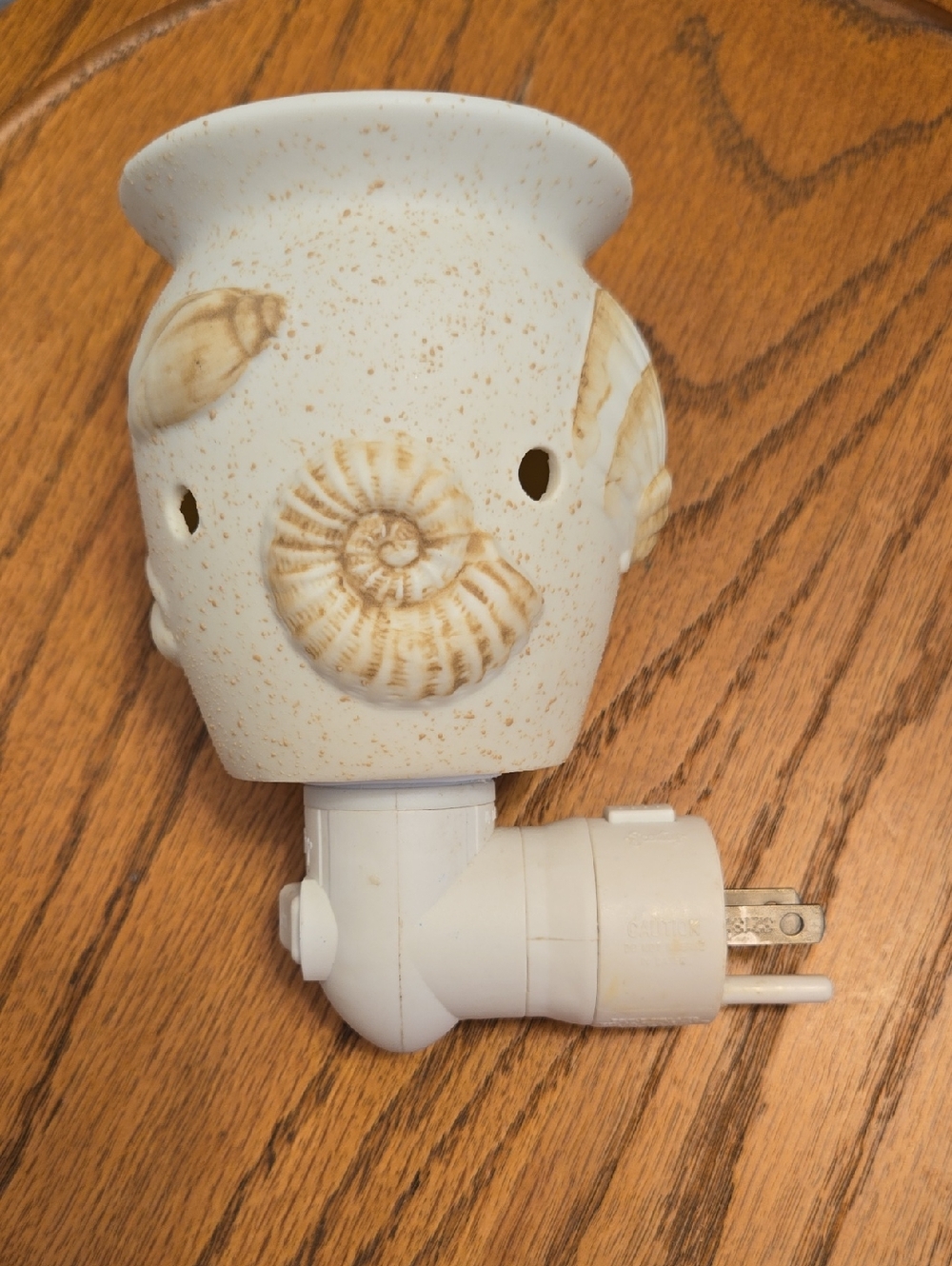 Scenty Ceramic Seashell Night Light Plug-In - Speckled White & Tan